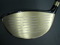 2015425DSCI0004 (2).JPG