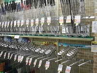 2015830DSCI0002 (1).JPG