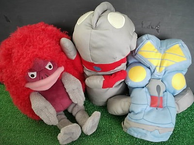 2015913DSCI0004 (2).JPG