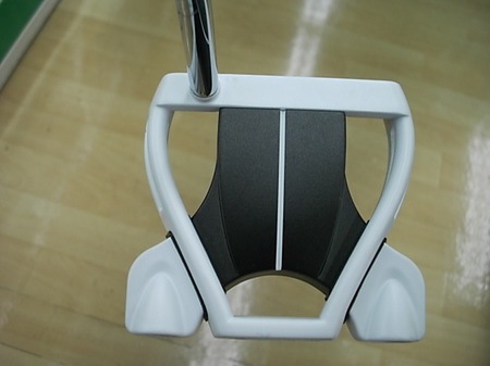 113TPDSCI0003.JPG
