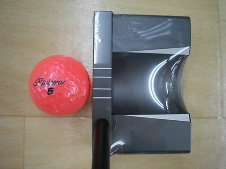 D216312SCI0003.JPG