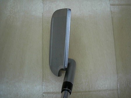 D216320SCI0006.JPG