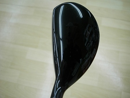 DP923DSCI0010.JPG