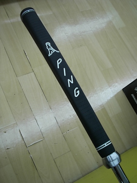 1029PDSCI0002.JPG