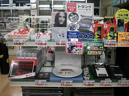 DS2161120CI0001.JPG