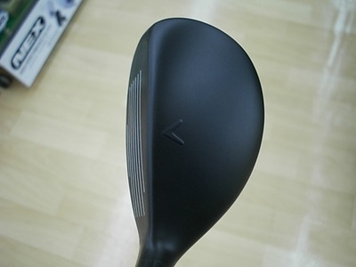 330CXDSCI0005.JPG