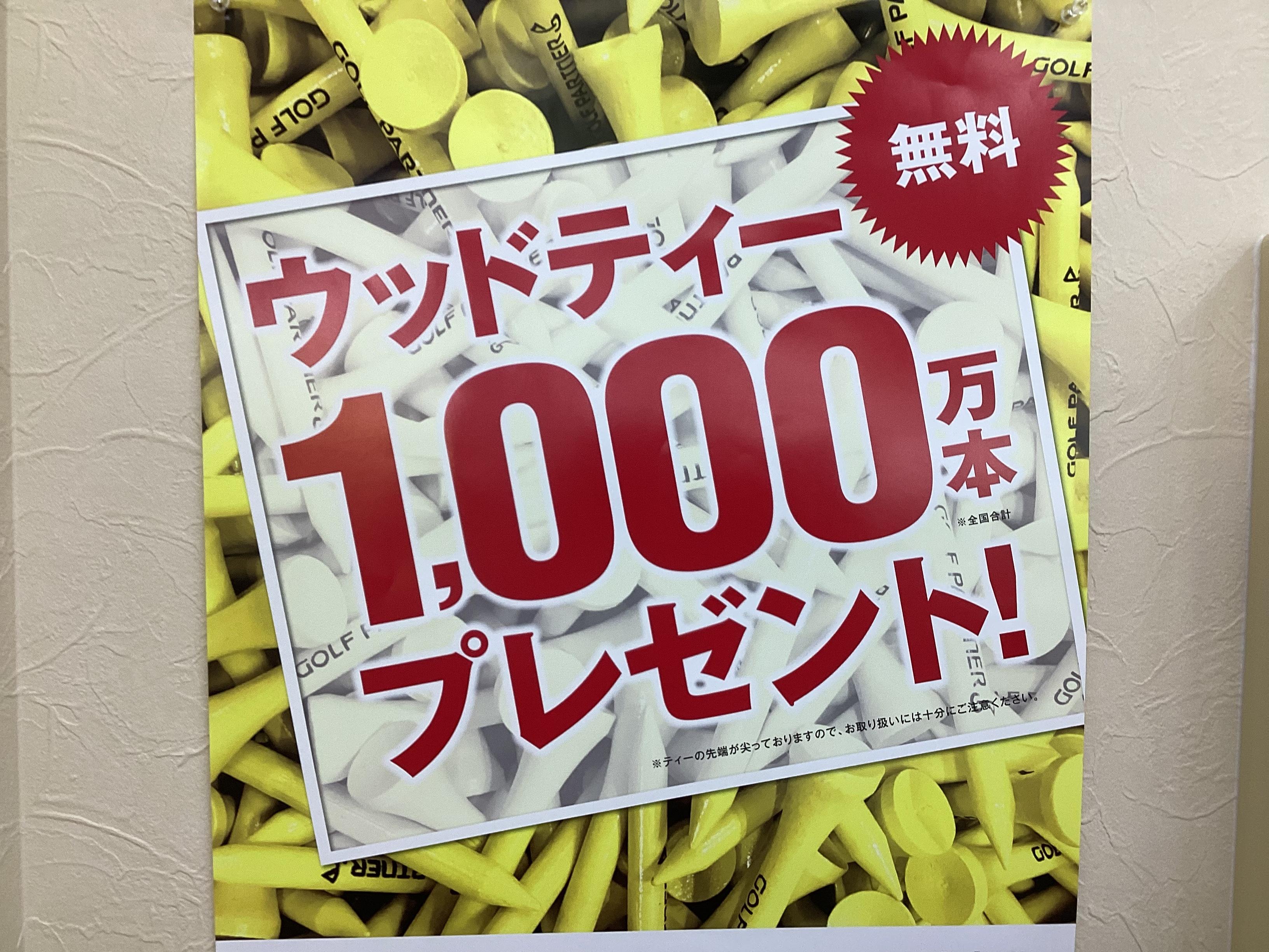 ウッドティー無料プレゼント！