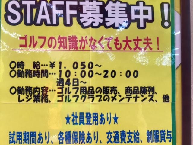 スタッフ募集‼️