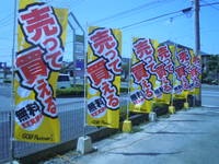 DSCN5509.jpg