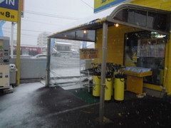 DSCN8478.jpg