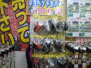 DSCN8713.jpg