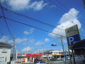 DSCN1586.jpg