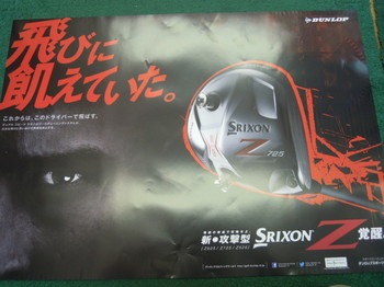 DSCN4238.jpg