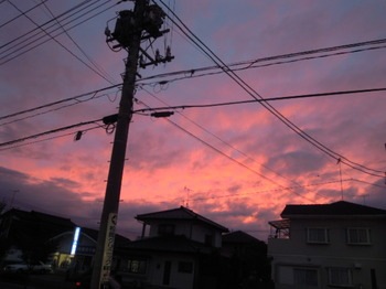 DSCN8770.jpg