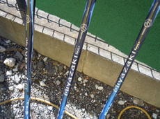 DSCN8920.jpg