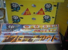 DSCN0274.jpg