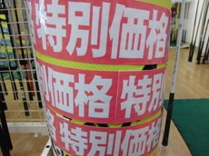 CIMG5572.JPG