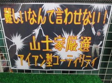 koi5.JPG