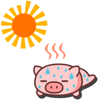 今日も・・・・