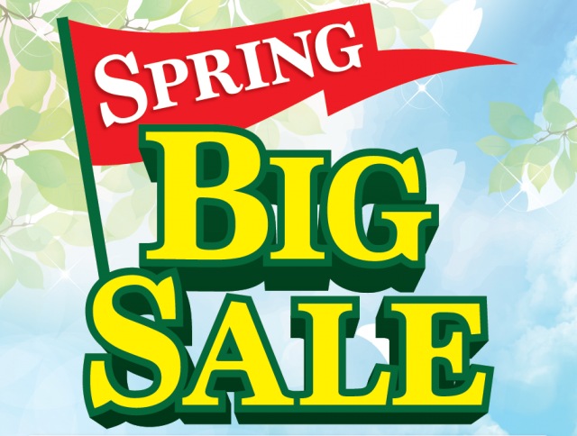 ＳＰＲＩＮＧ　ＳＡＬＥ