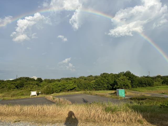 昨日・・・見た？