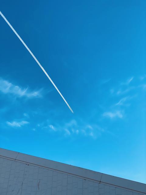 朝から。。。