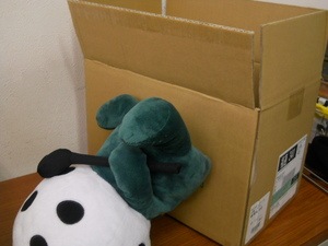 N6363JHNＣＦＦＧTK7-EW 001 (2).jpg