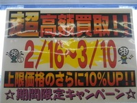 20132161.jpg