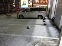 20160111 (2).JPG