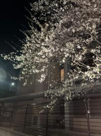 IMG_E7862.JPG