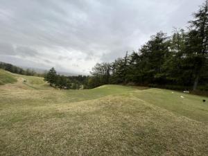 IMG_8049.JPG