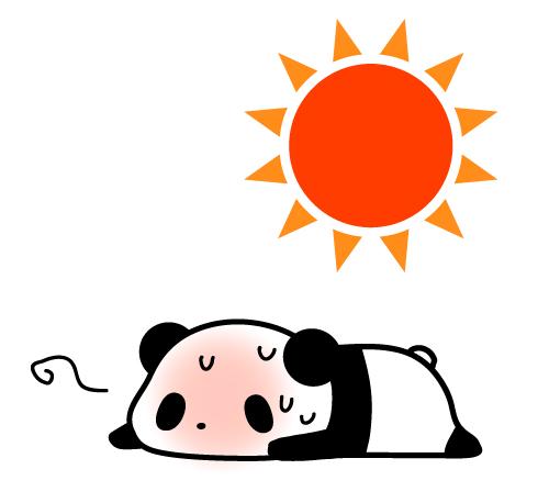 今日は・・・　やったぁ！！！！