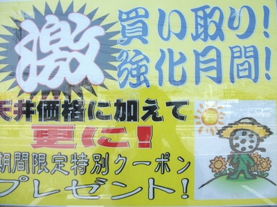 DSCF8463.JPG