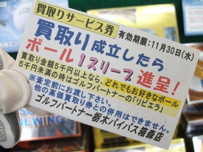 DSCF5917.JPG