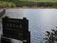 IMG_0459.JPG