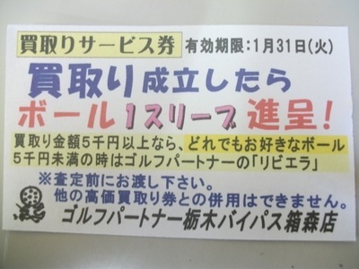 DSCF0143.JPG
