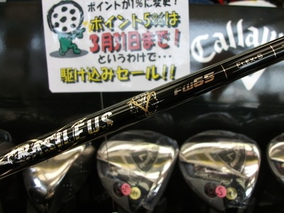 DSCF8408.JPG