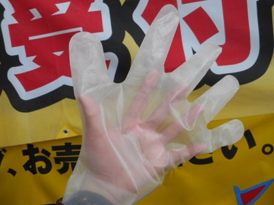 DSCN0585.JPG