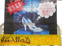 DSCN8996.JPG