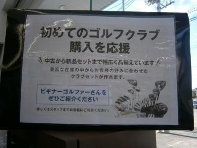 bigina01.JPG