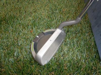 chippapt05.JPG