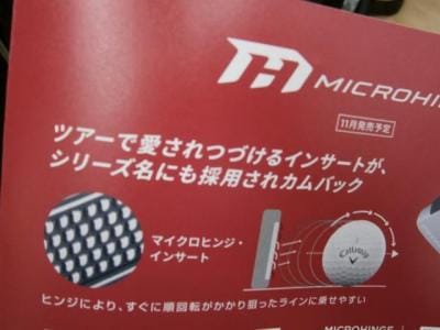 microhi03.JPG