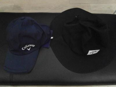 cwreincap05.JPG