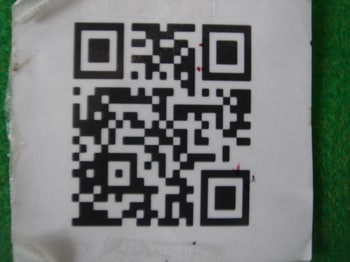DSC07737.JPG