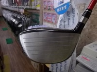 IMGP0902.JPG