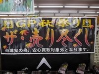 IMGP1335.JPG
