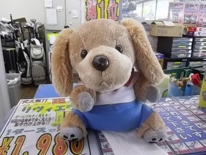 IMGP4278.JPG