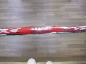 IMGP5795.JPG