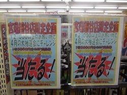 IMGP2189.JPG