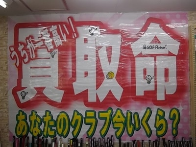 IMGP2368.JPG